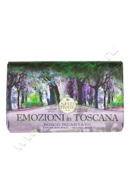 Мыло Nesti Dante Bosko Incantato Soap (Нести Данте Очарованный Лес) 250 мл.