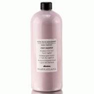 Универсальный шампунь для подготовки волос к укладке для всех типов волос - Davines Your Hair Assistant Prep Shampoo 900 мл Универсальный шампунь для подготовки волос к укладке для всех типов волос - Davines Your Hair Assistant Prep Shampoo 900 мл