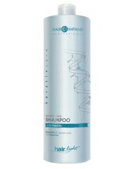 Шампунь уход с кератином Hair Company Keratin Care 1000мл