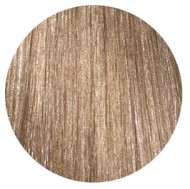 Краска для волос Loreal Inoa 10.01 (Очень яркий блондин натуральный пепельный) Краска для волос Loreal Inoa 10.01 (Очень яркий блондин натуральный пепельный)