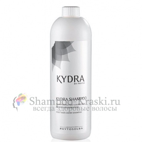 Технический шампунь для окрашенных и блиндированных волос - Kydra Post Hair Color Shampoo 1000 мл