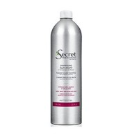 Шампунь с растительными оттеночными пигментами (упаковка Alum) - Kydra Secret Professionnel Radiant Silver Shampoo (Alum Pack) 950 мл