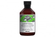 Обновляющий шампунь - Davines Renewing Shampoo 250 мл