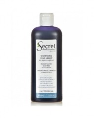 Шампунь с растительными оттеночными пигментами - Kydra Secret Professionnel Radiant Silver Shampoo 400 мл