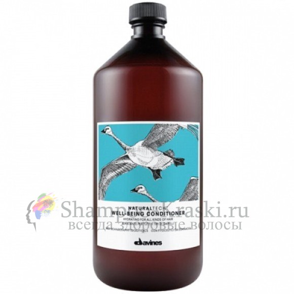 Увлажняющий кондиционер для здоровья волос - Davines Well Being Conditioner 1000 мл