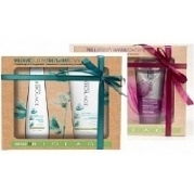Holiday Kit — Наборы для ухода за волосами